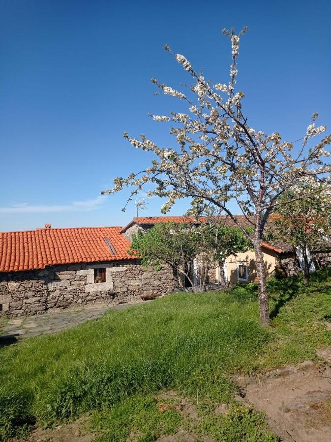 Balcon De San Caetano Daire Cristosende Dış mekan fotoğraf