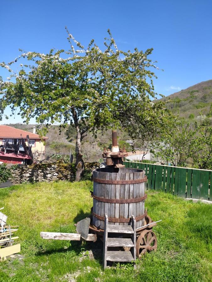 Balcon De San Caetano Daire Cristosende Dış mekan fotoğraf