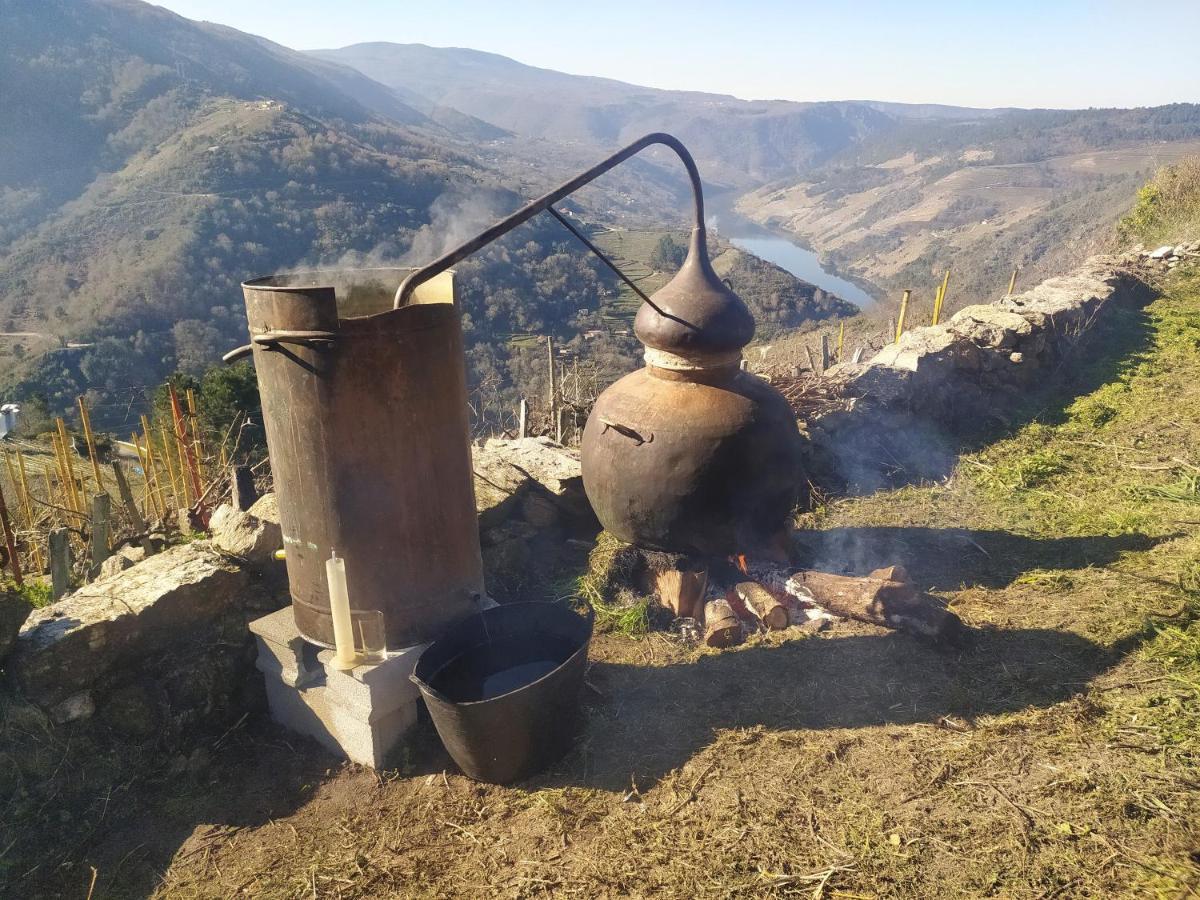 Balcon De San Caetano Daire Cristosende Dış mekan fotoğraf