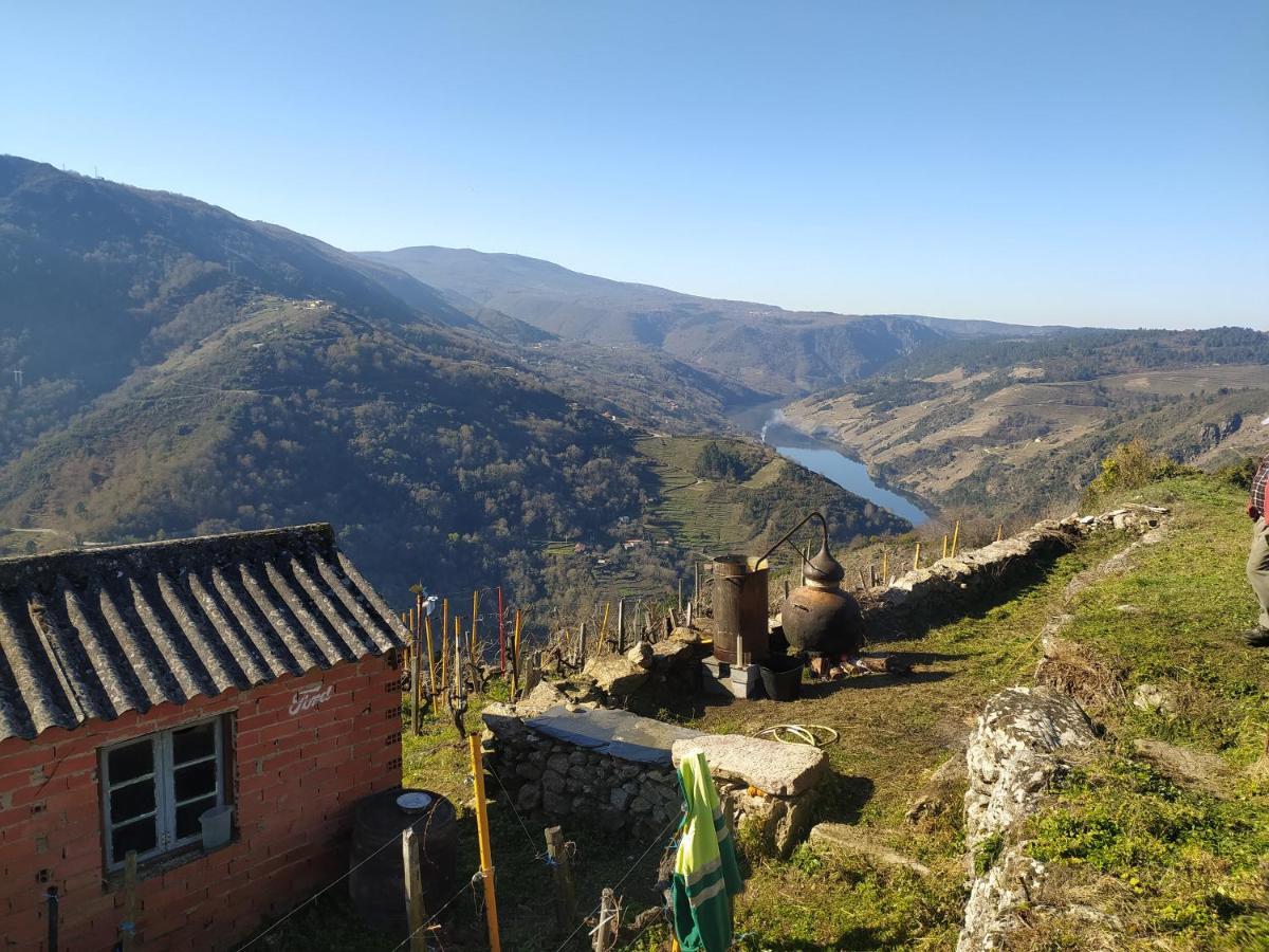 Balcon De San Caetano Daire Cristosende Dış mekan fotoğraf